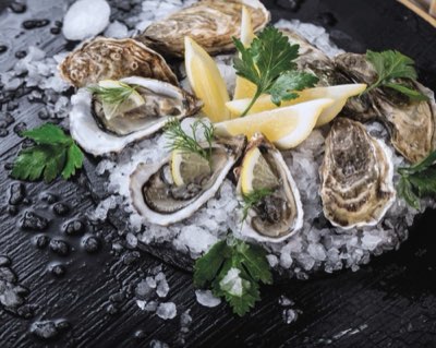 Oysters at Le Tremplin